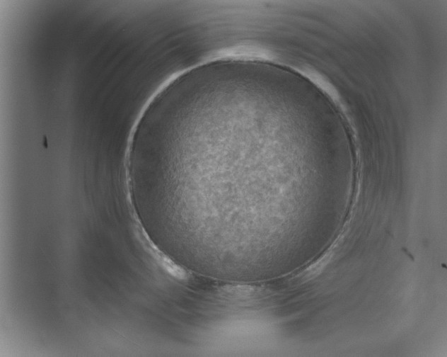 X0000071761248200607071228