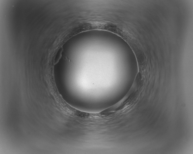 X0000071761249200607071227