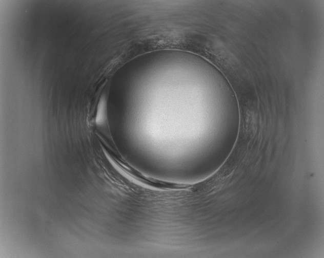 X0000071761250200607071227