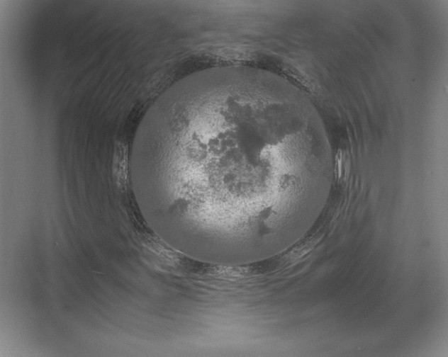 X0000071761251200607071227