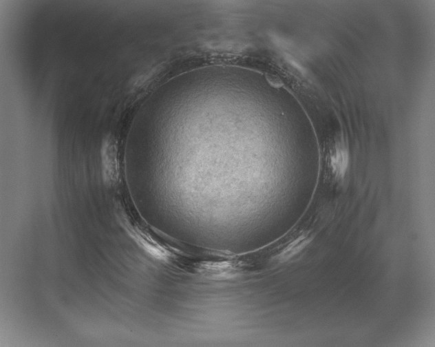 X0000071761252200607071227