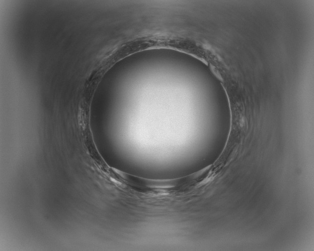 X0000071761253200607071227