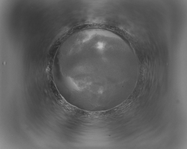 X0000071761254200607071227