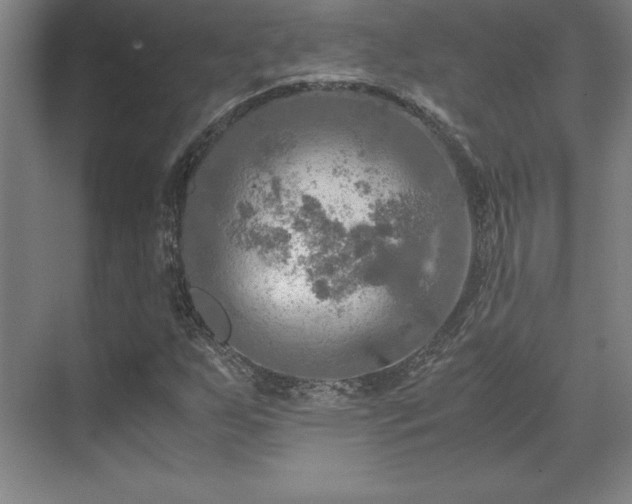 X0000071761255200607071227