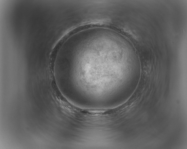 X0000071761256200607071227