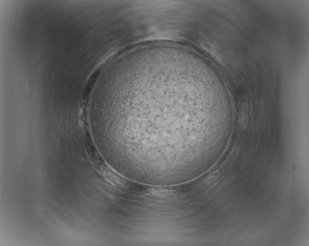 X0000071761258200607071227