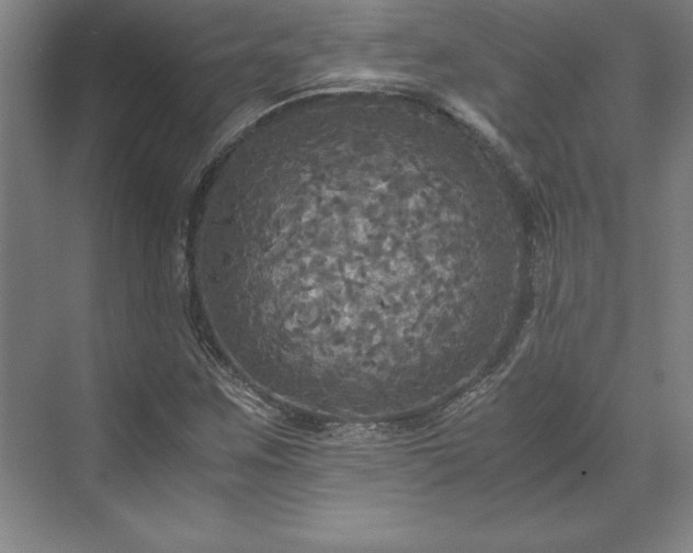 X0000071761259200607071227