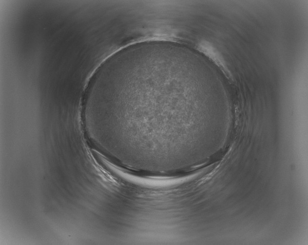 X0000071761260200607071227