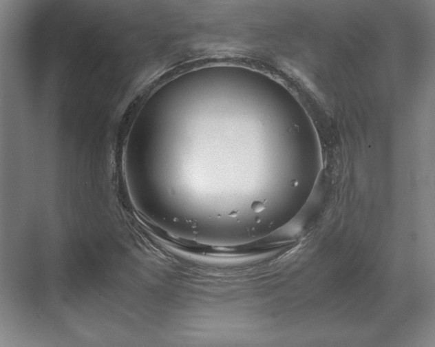 X0000071761261200607071227