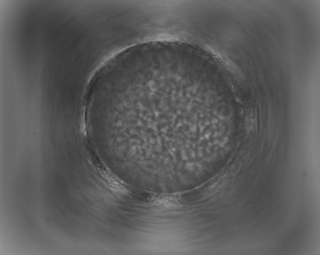 X0000071761262200607071227