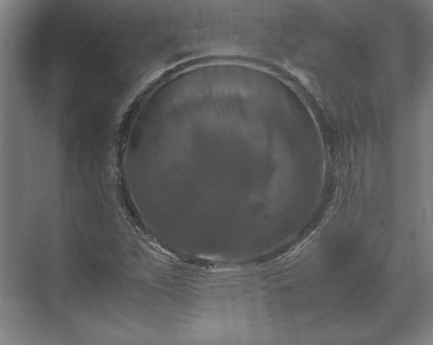 X0000071761263200607071227