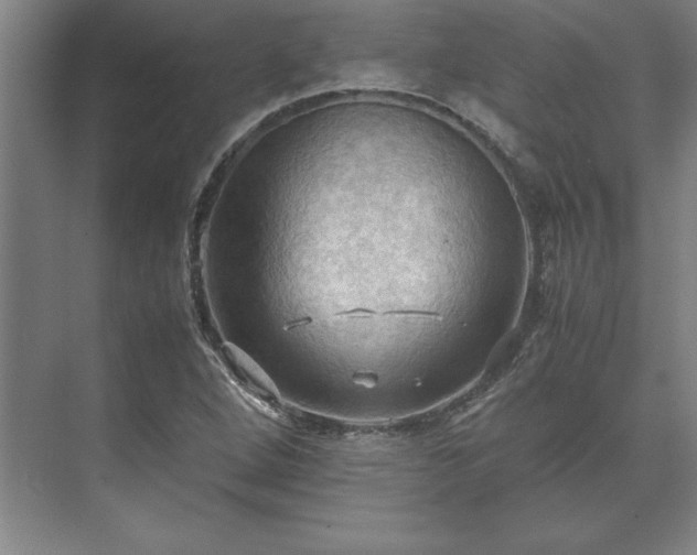 X0000071761264200607071227