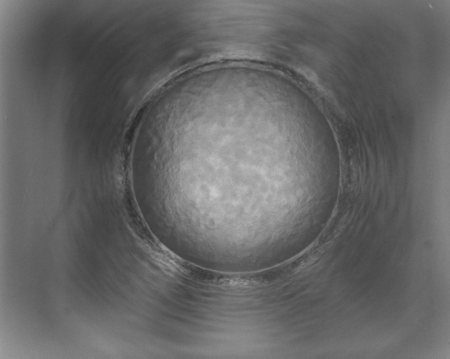 X0000071761266200607071226