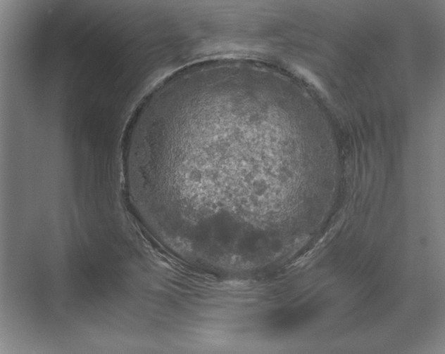 X0000071761267200607071226