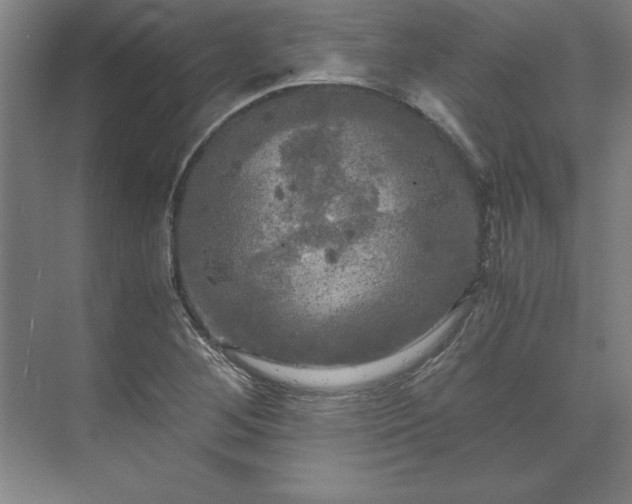 X0000071761268200607071226