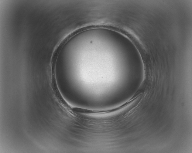 X0000071761270200607071226