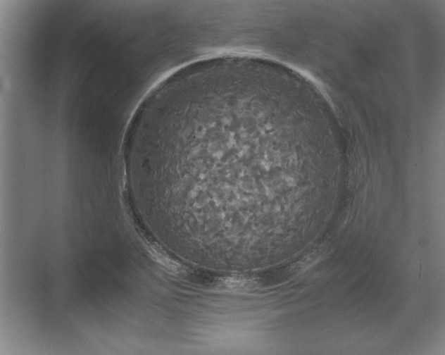 X0000071761271200607071226