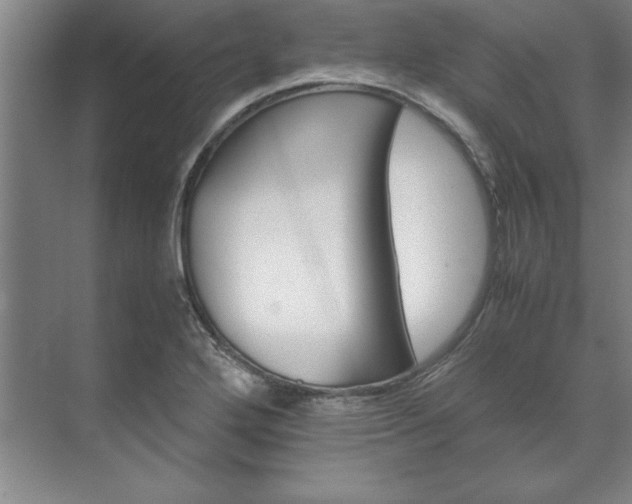 X0000071761272200607071226