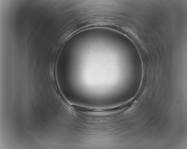 X0000071761273200607071226