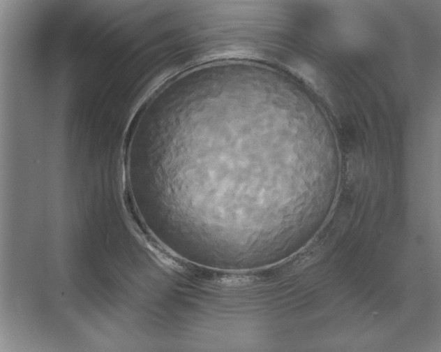 X0000071761274200607071226