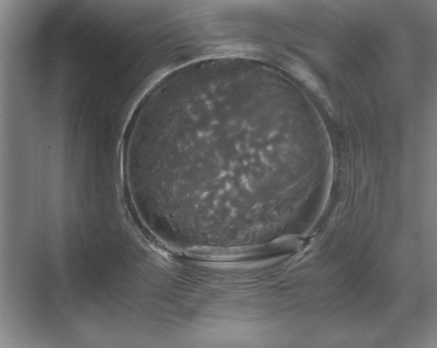 X0000071761275200607071226