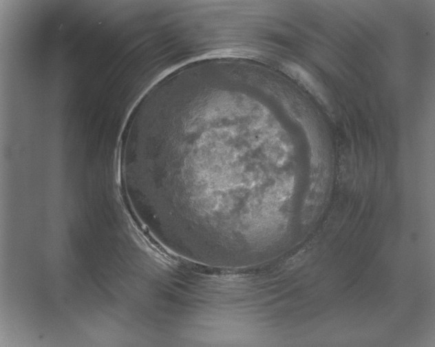 X0000071761276200607071226