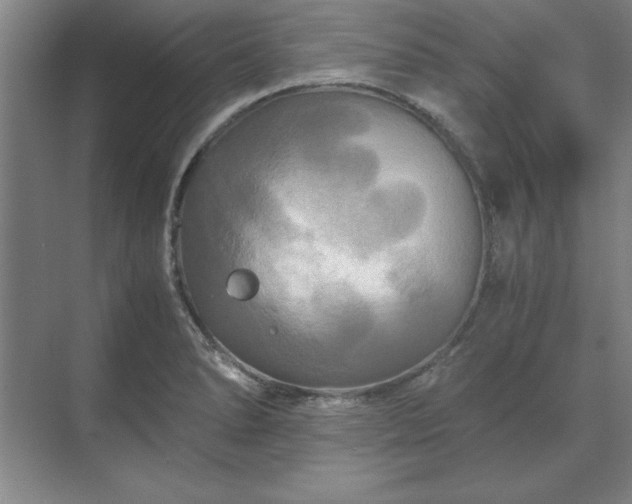 X0000071761278200607071226