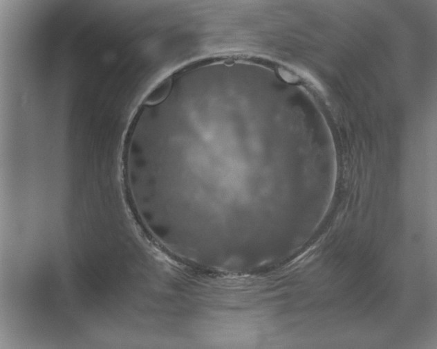 X0000071761279200607071226