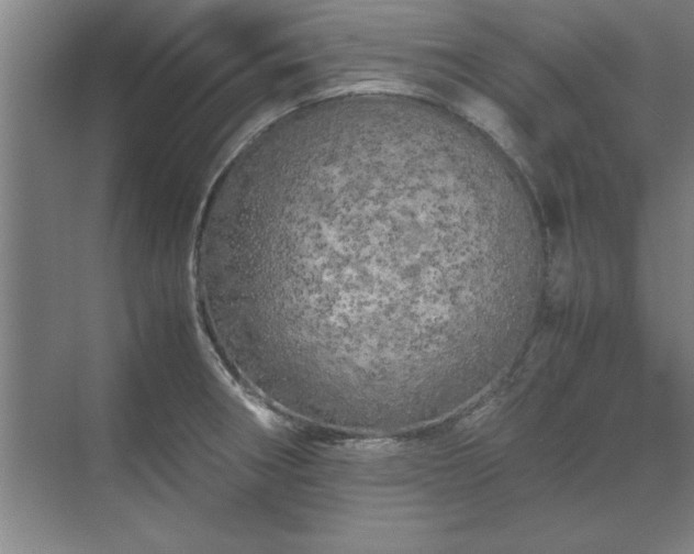 X0000071761282200607071226