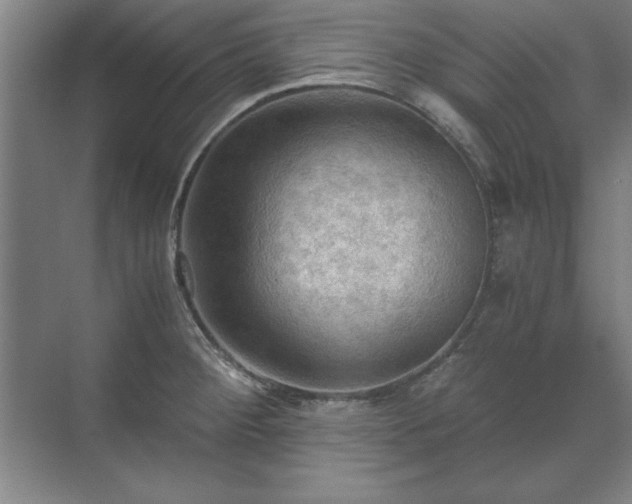 X0000071761284200607071226