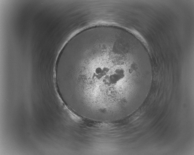 X0000071761287200607071226