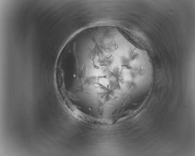 X0000071761288200607071226