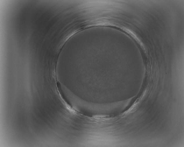 X0000071761289200607071226