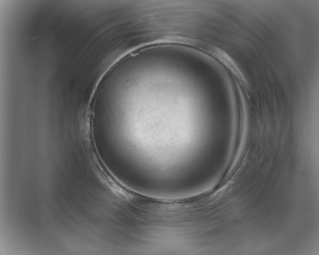 X0000071761292200607071226