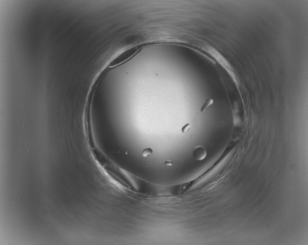 X0000071761293200607071226