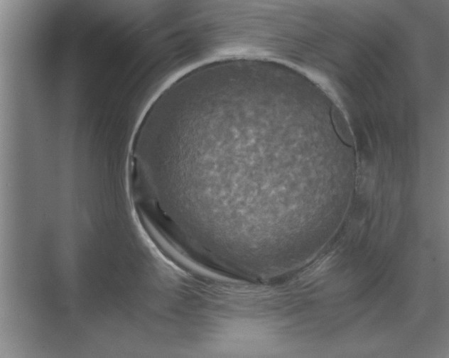 X0000071761295200607071226