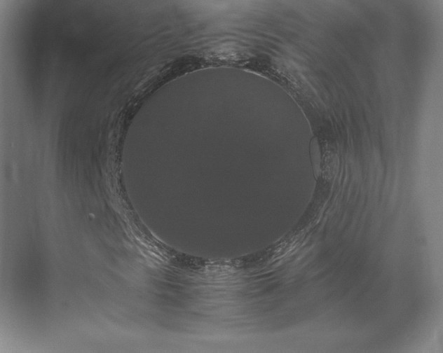 X0000071761297200607071225