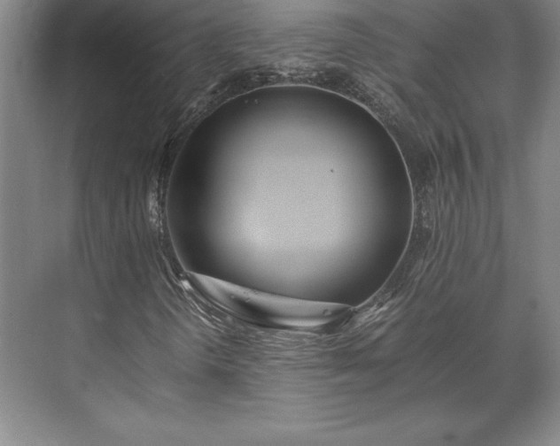 X0000071761298200607071225