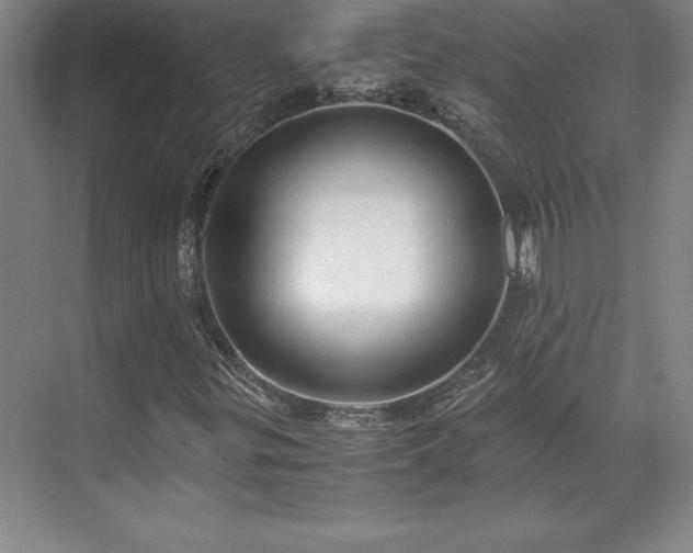 X0000071761299200607071225