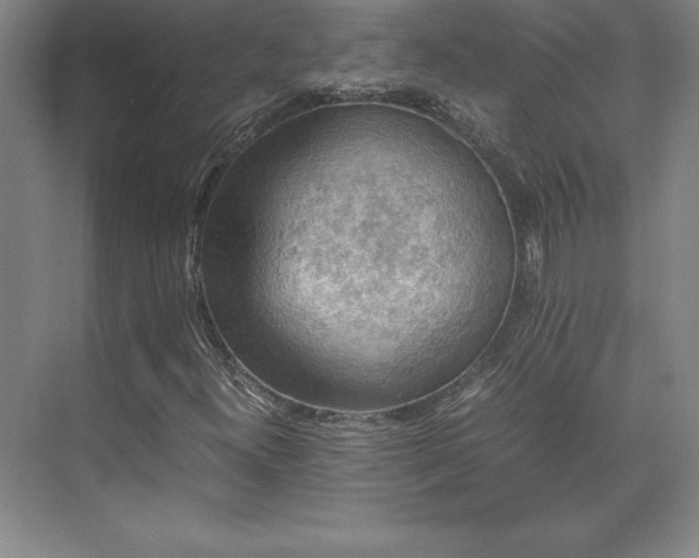 X0000071761300200607071225