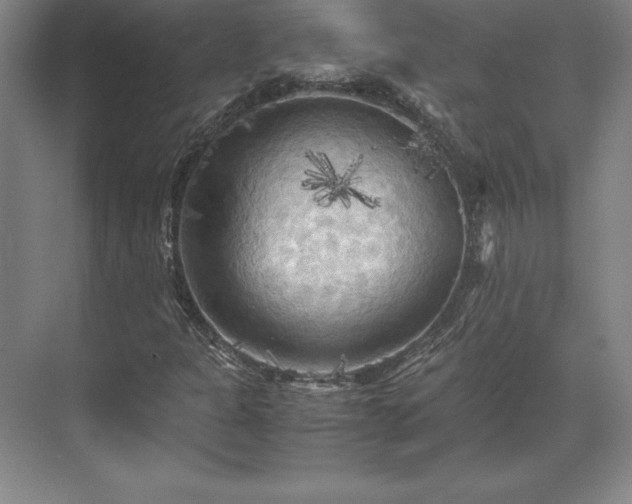 X0000071761301200607071225