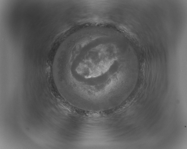 X0000071761302200607071225