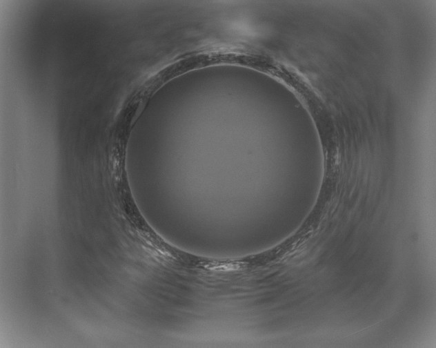 X0000071761303200607071225