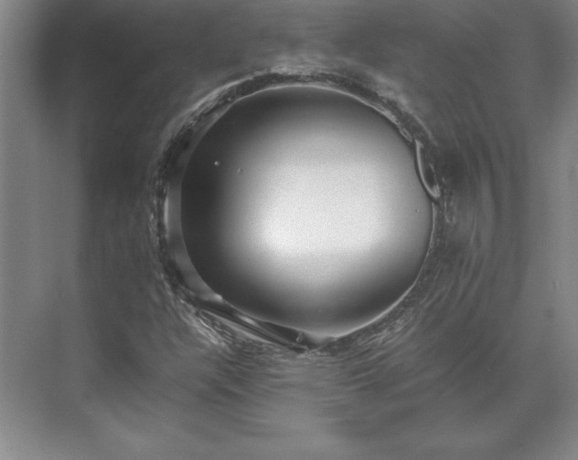 X0000071761304200607071225