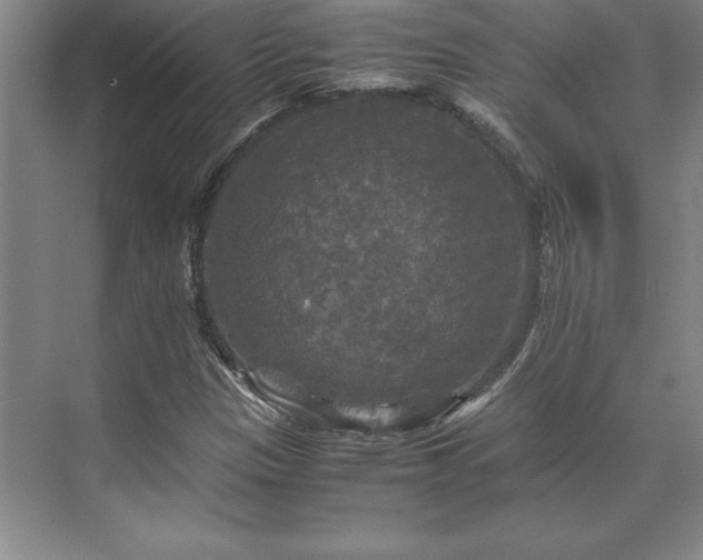 X0000071761305200607071225