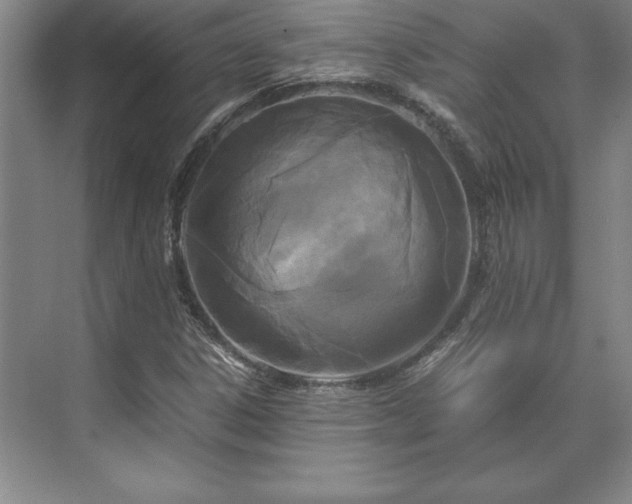 X0000071761306200607071225