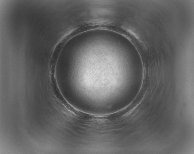 X0000071761309200607071225