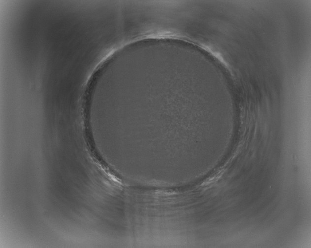 X0000071761311200607071225