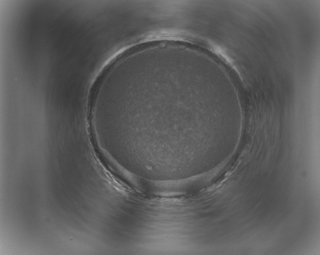 X0000071761312200607071225