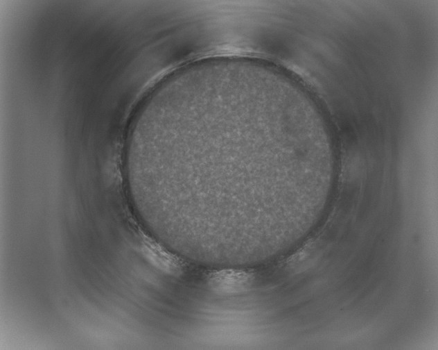 X0000071761314200607071225